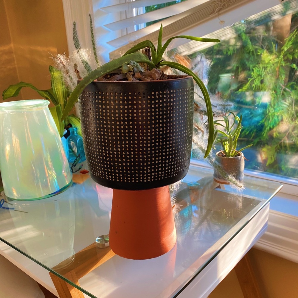 Handmade By Me Planter Terracota Dot 🔮 - Picture 3 of 16